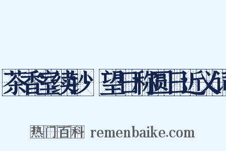 茶香室续钞·望日称圆日近义词是什么意思的图片